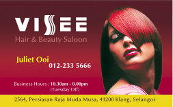 VISEE SALOON