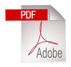 pdf-icon.jpg